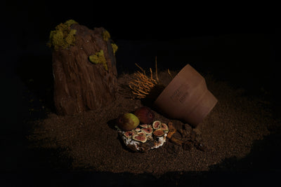 Reisfields Terra No. 8 Candle in cement vessel